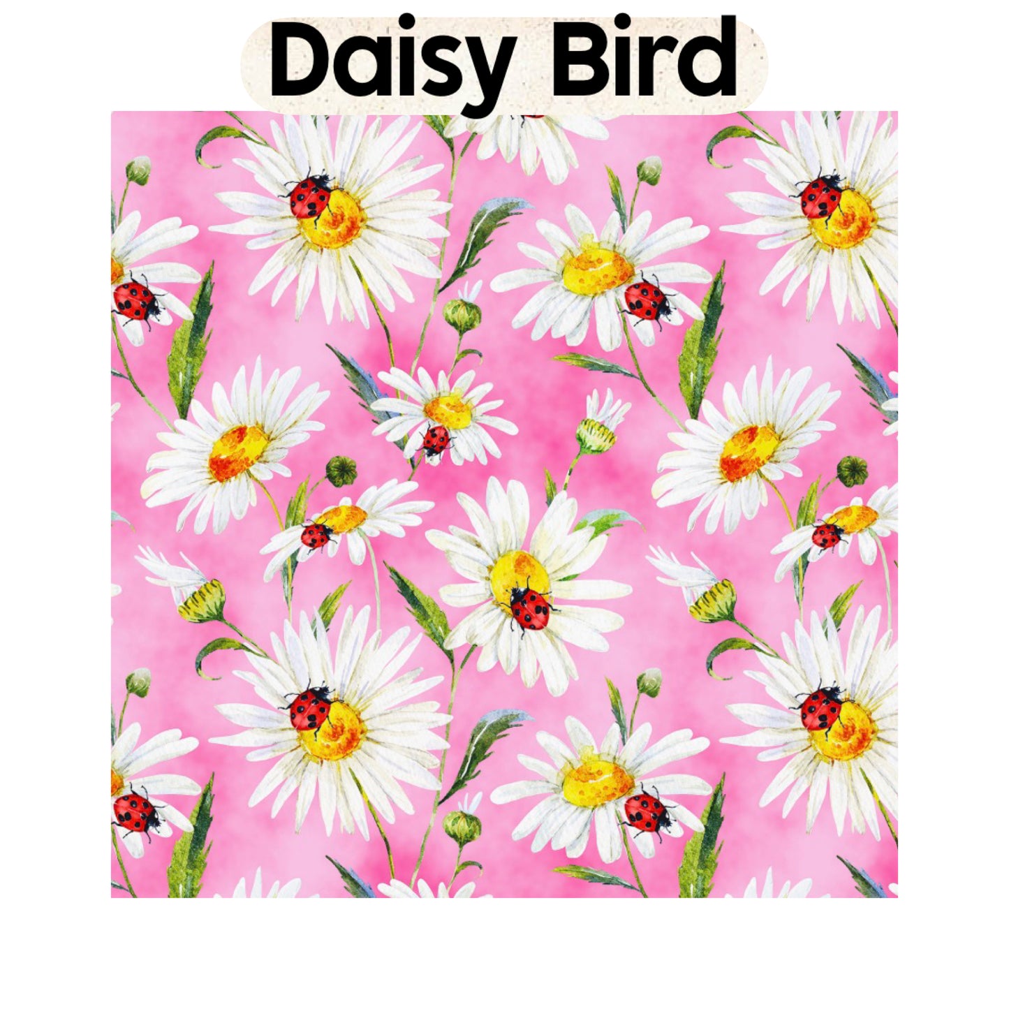 Daisy Bird (New)