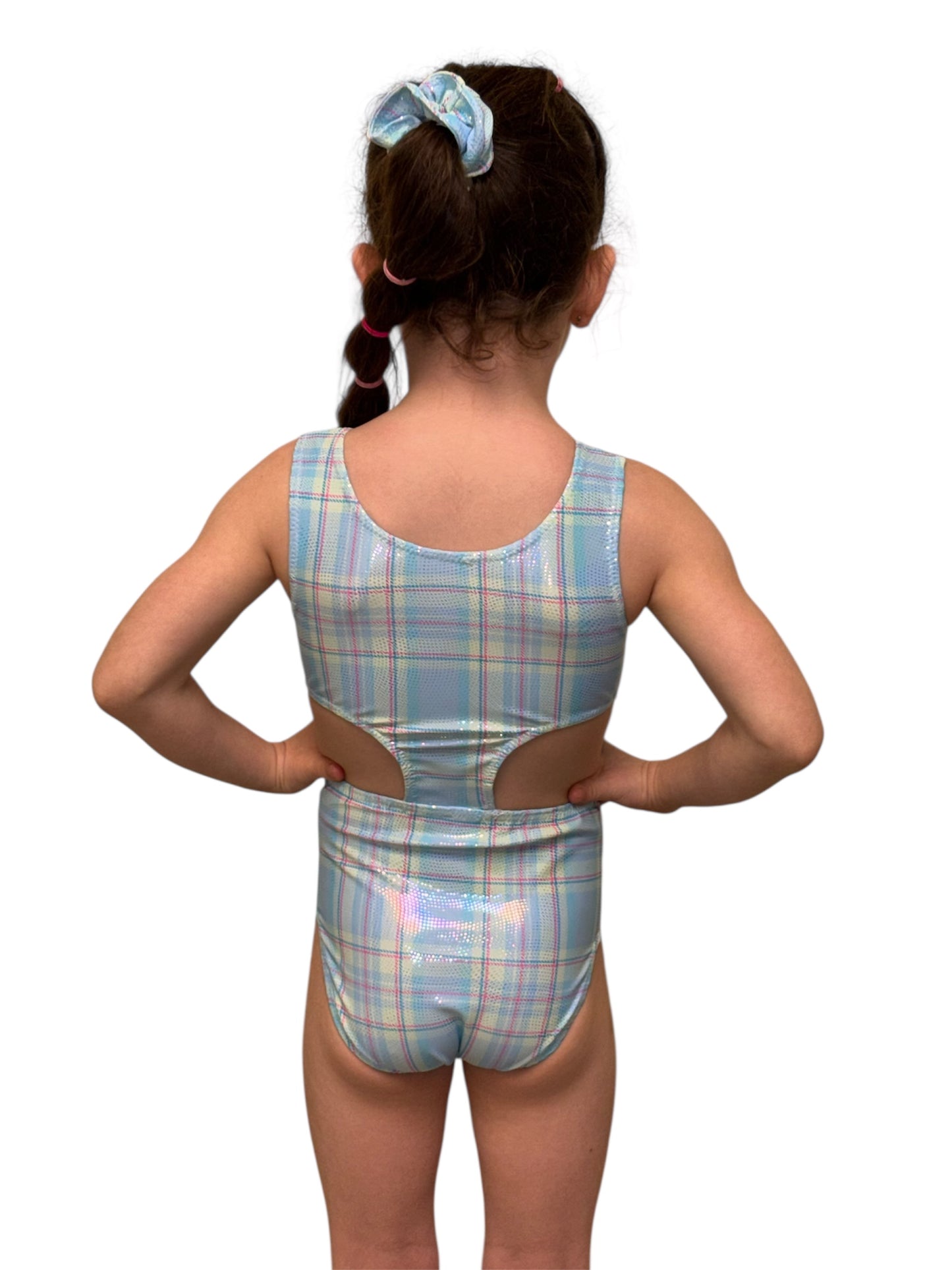 Pastel Ice leotard