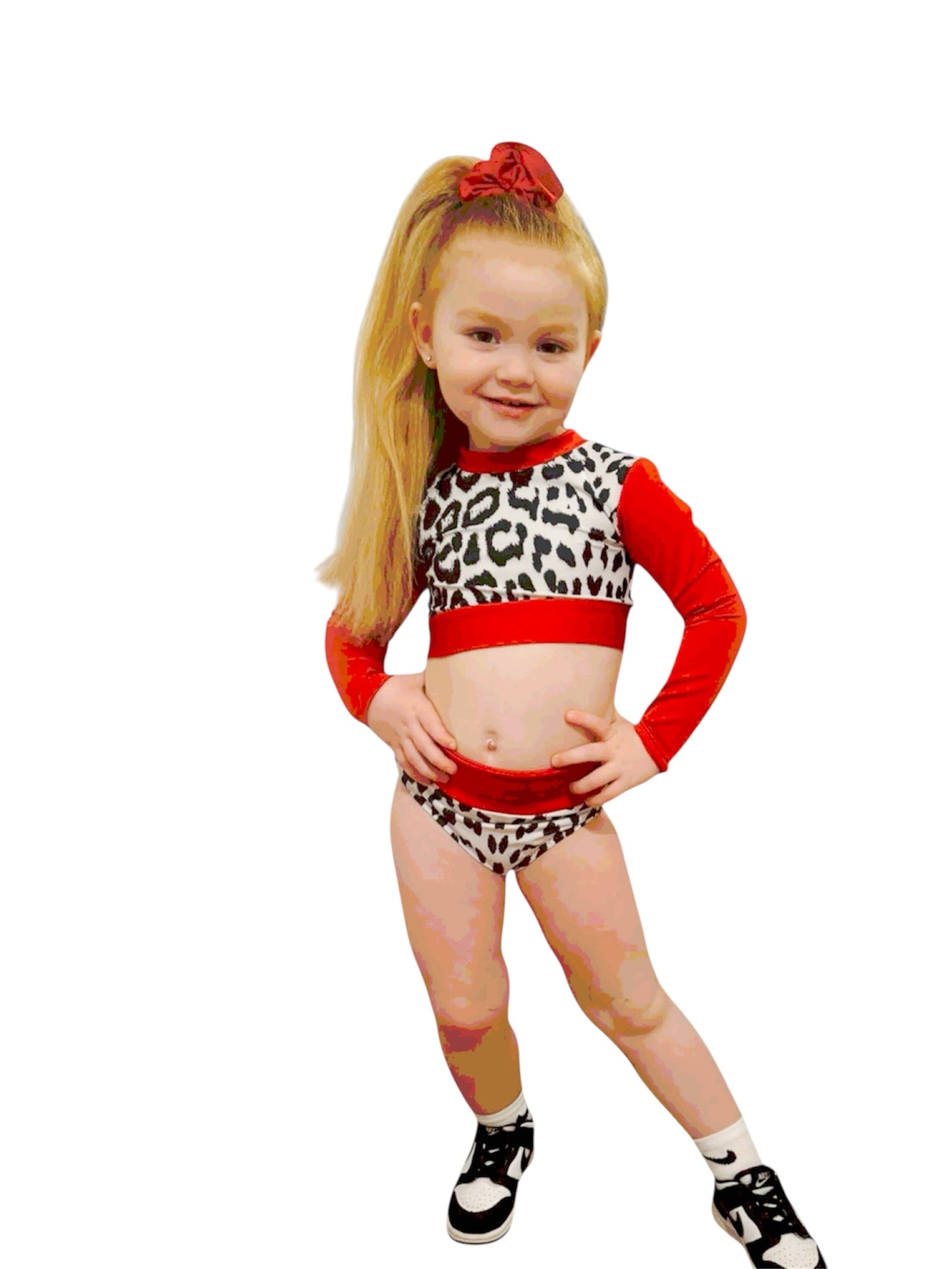 Zebra/cheetah High Waisted Knix Set