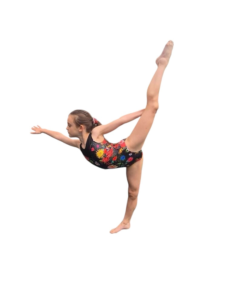 Isabella leotard